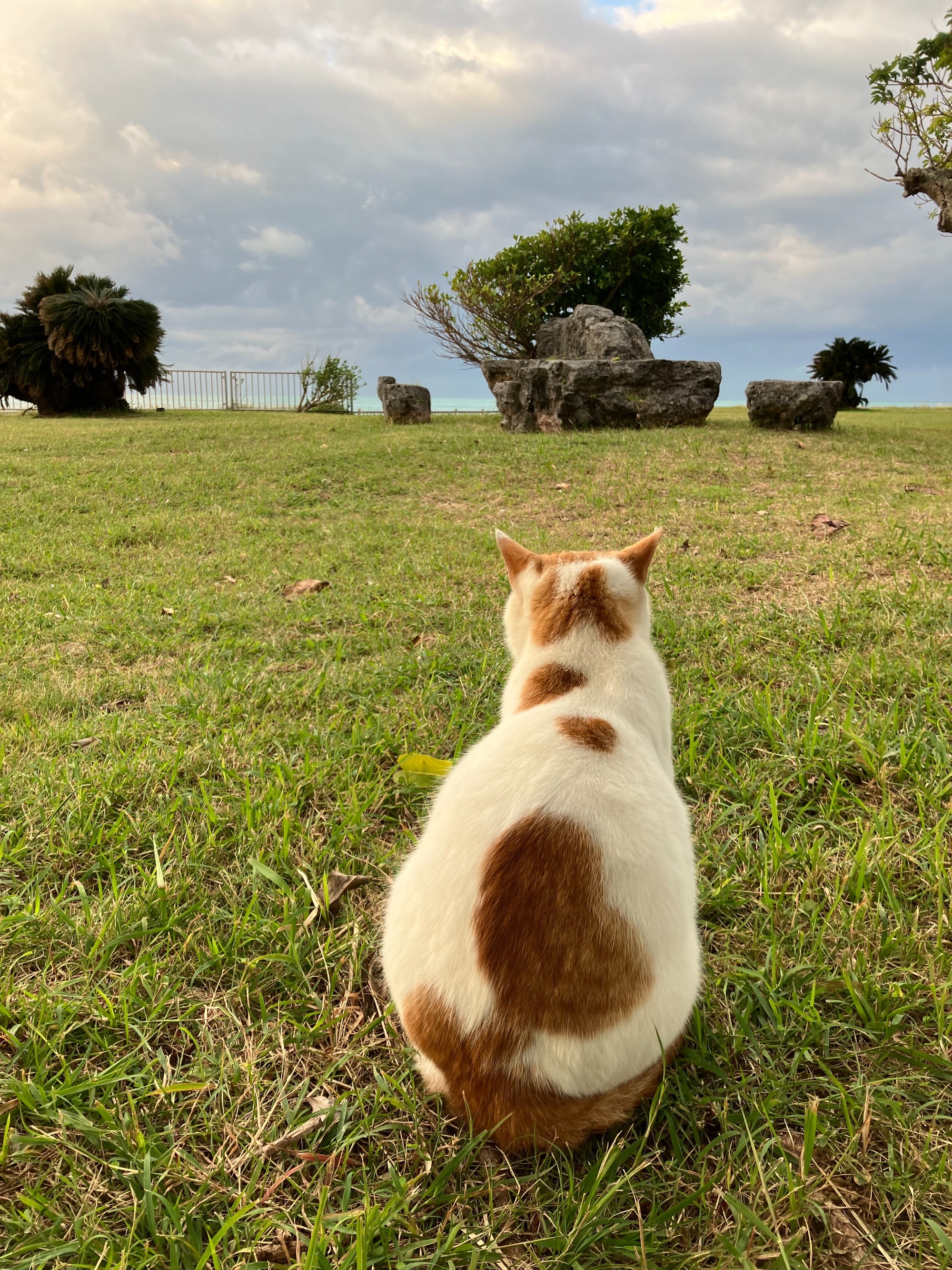 写真：利用者様