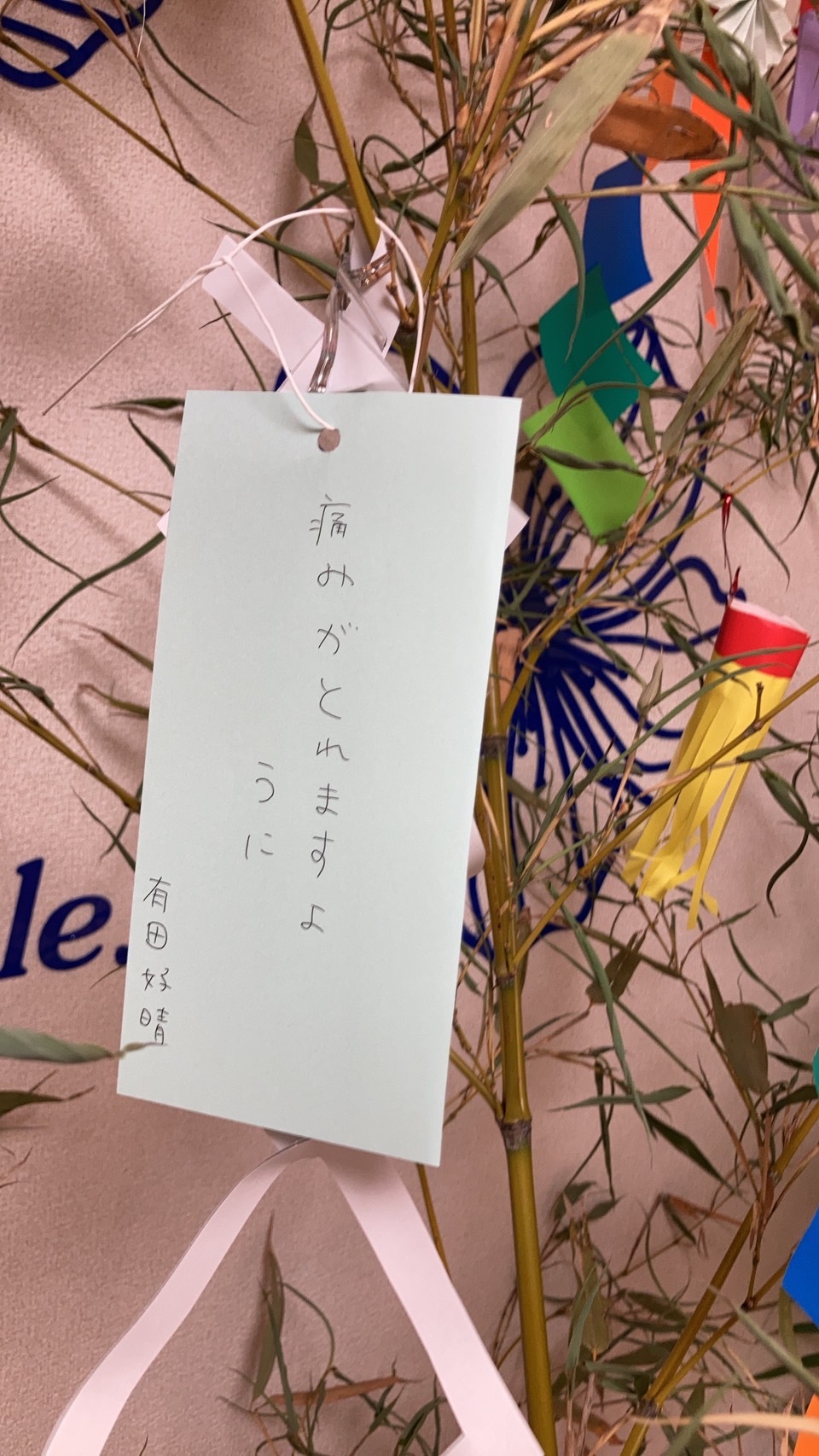 写真：利用者様とスタッフ